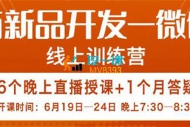 流萤《电商新品开发微创新》