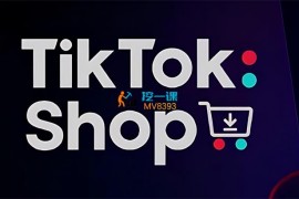 布董《TikTok全案短视频+独立站》