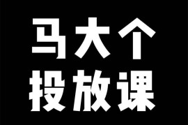 马大个《短视频投放课》