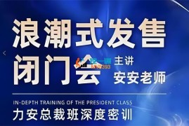 安安《力安深圳闭门会：浪潮式发售》