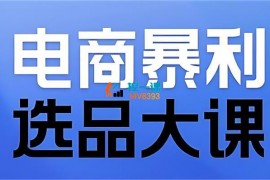 大圣《电商暴利选品大课》