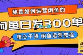 咸鱼哥《闲鱼卖手机日发300单》