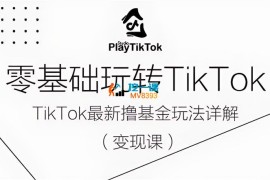 SHAWN《零基础玩转TiKToK变现课》