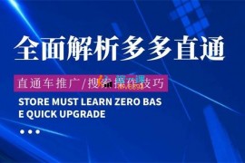 海神《全面解析多多直通车》