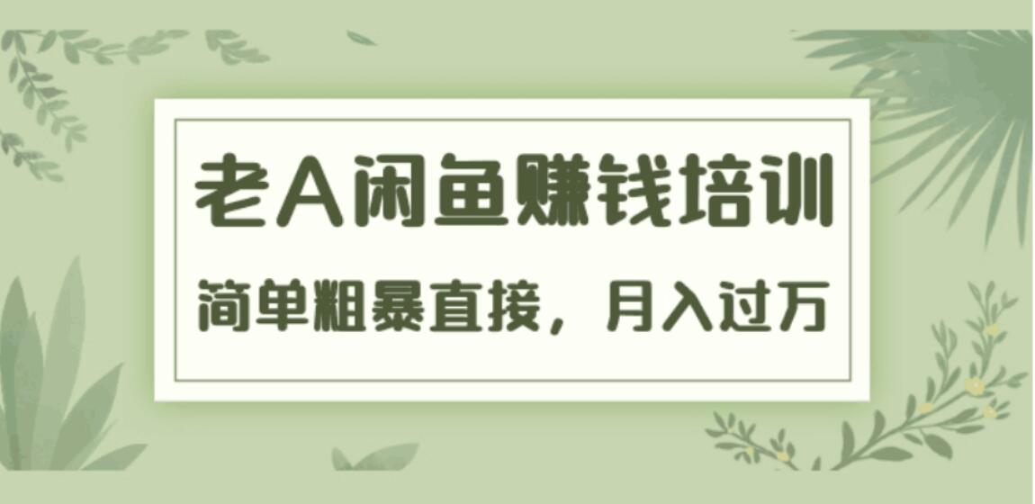 《老A闲鱼赚钱培训》简单粗暴直接，月入过万真正的闲鱼战术实课