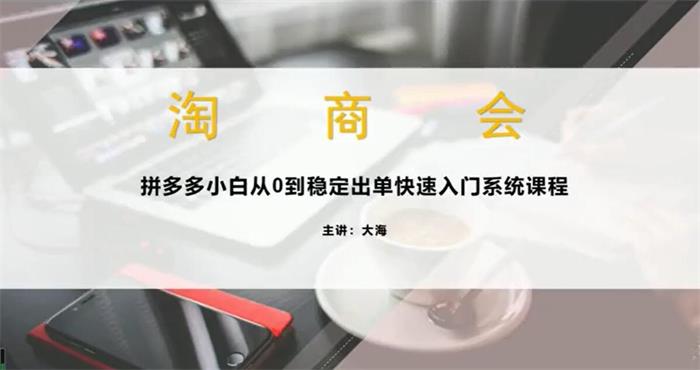 大海《拼多多从0到稳定出单系统课程》封面图.jpg