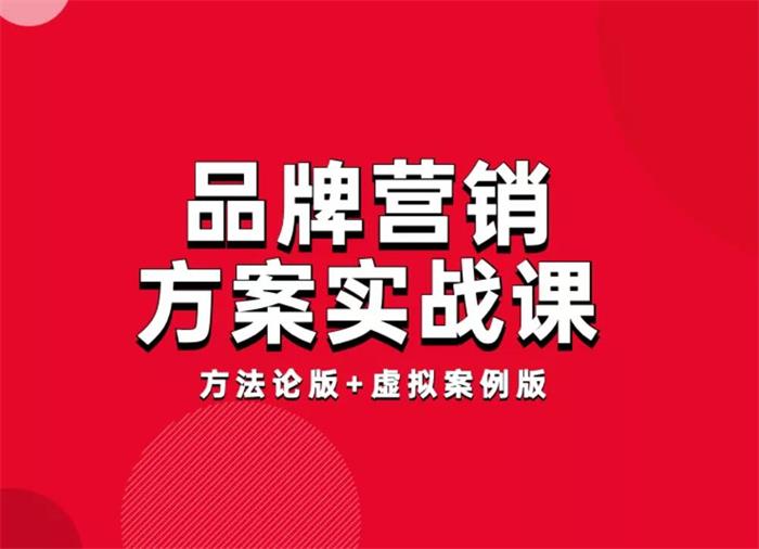 藏锋《品牌营销方案实战课》封面图.jpg