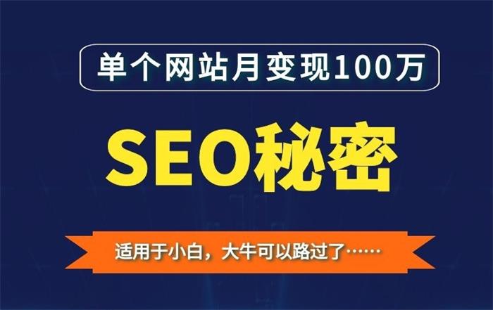 皇彬《单个网站月变现100万的SEO秘密》课程封面图.jpg