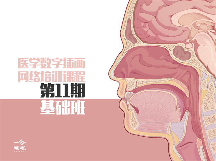 医学插画网络班第11期基础班封面图.jpg