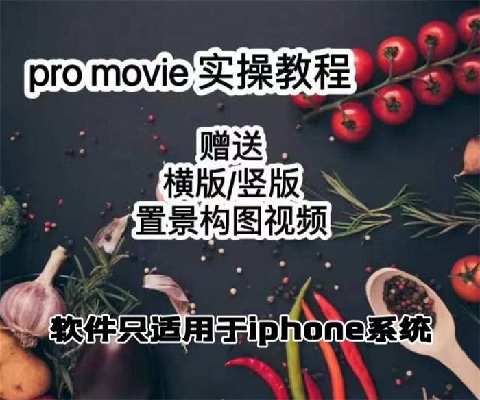 漆十二《美食摄影promovie实操高手课》_课程封面图.jpg