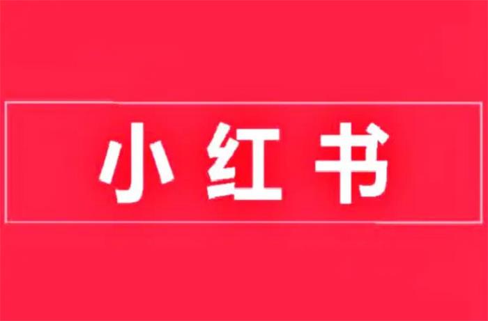 蔡汶川《小红书涨粉特训营第4期》封面.jpg