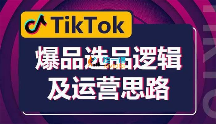 胖柴《TikTok爆品选品逻辑及运营思路》封面.jpg
