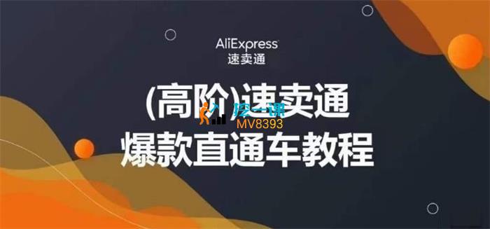AliExpress《高阶速卖通爆款直通车教程》封面.jpg