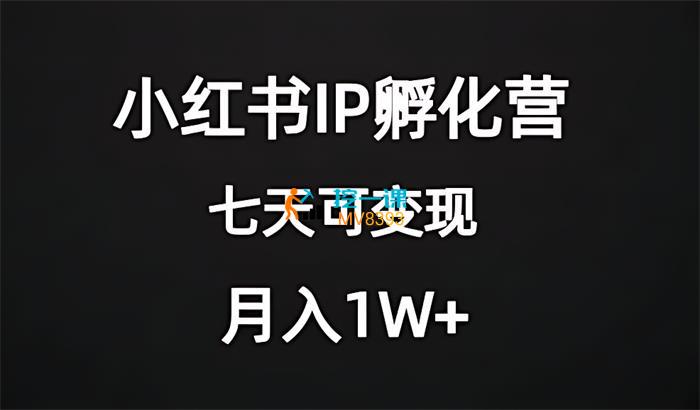 小鱼《小红书IP孵化营》课程封面.jpg