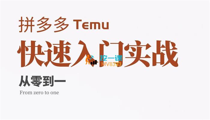 扑客《Temu快速入门实战课》封面.jpg