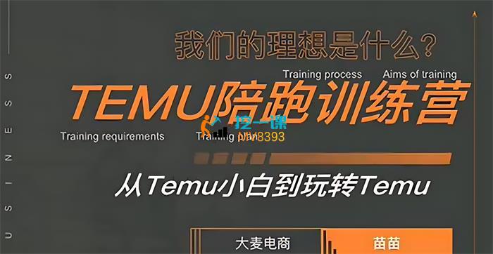 大麦电商《TEMU陪跑训练营》课程封面.jpg