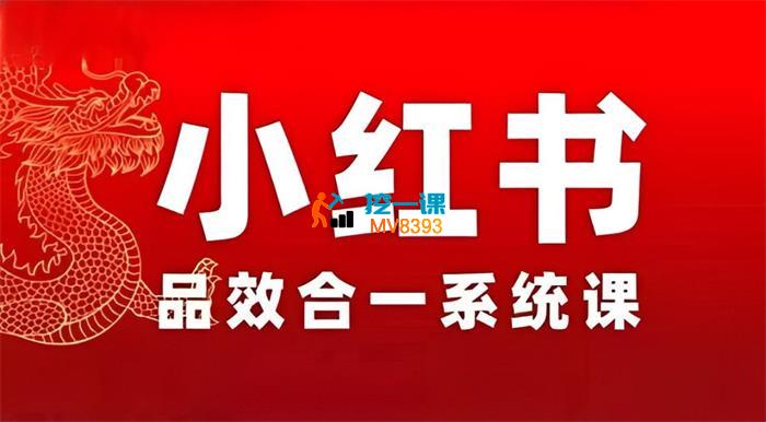 Dian《小红书品效合一系统教学》