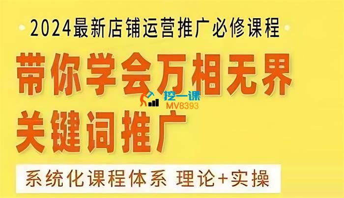 震宇《2024万相无界直引万运营实操4.0升级版》