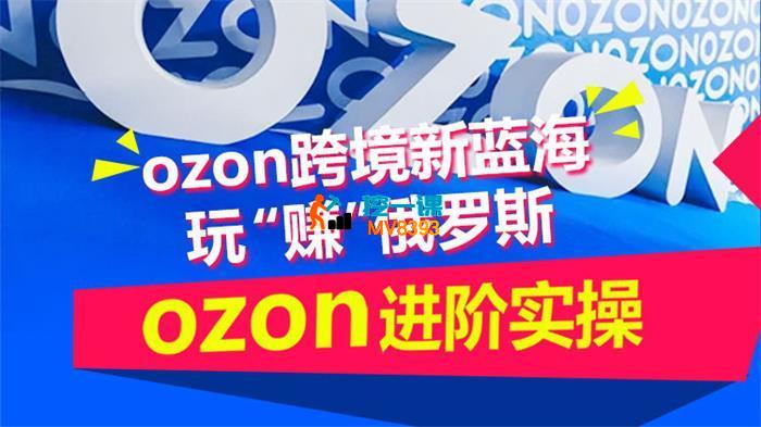 萧南《ozon进阶实操训练营》