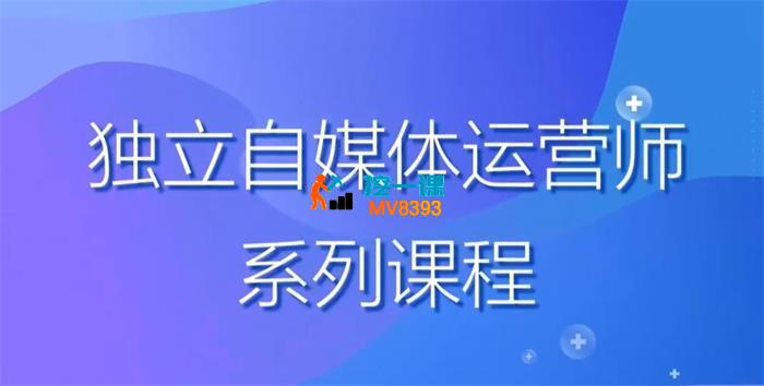 博老师《2024独立自媒体运营师特训营》