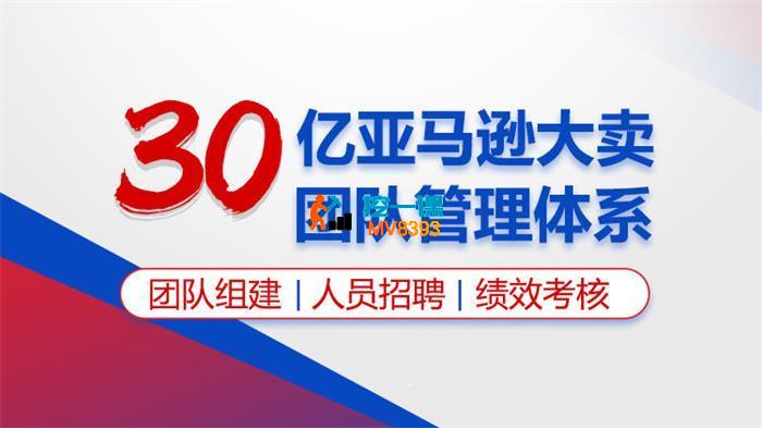 杨老师《30亿亚马逊大卖团队管理体系》