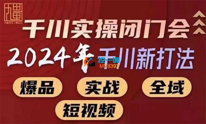 苏酒儿《2024年千川新打法》