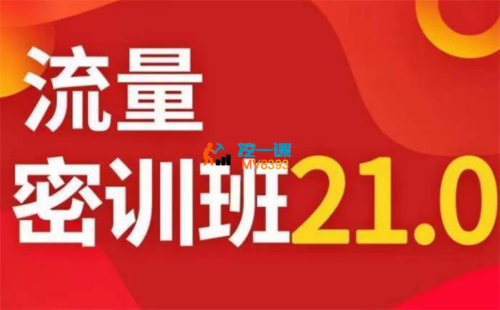 秋秋《线上流量密训班21.0》