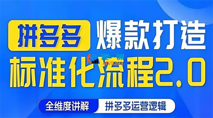 云杉《拼多多爆款打造标准化流程2.0》