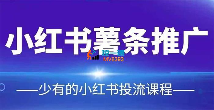 红山会《小红书薯条推广》