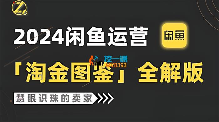 进击的海厂长《闲鱼运营卖家系统课程》