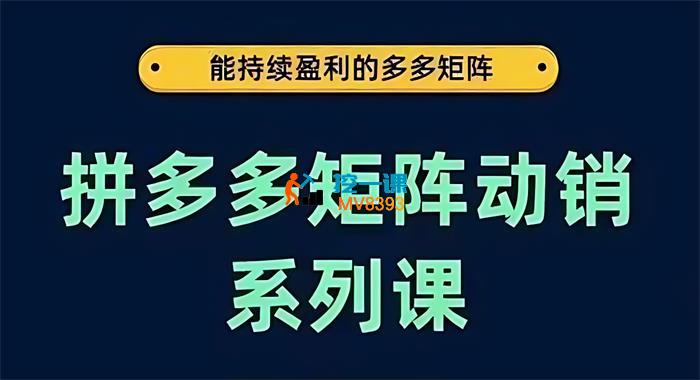 大王真《拼多多矩阵动销系列课》_封面图.jpg