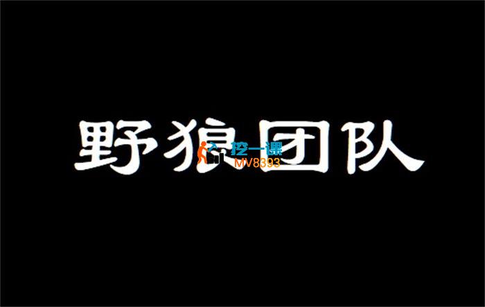 野狼团队《短视频+直播带货实操课》