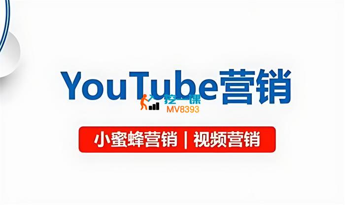 小蜜蜂《YouTube视频营销》_封面图.jpg