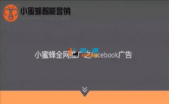 小蜜蜂《Facebook广告投放基础课》