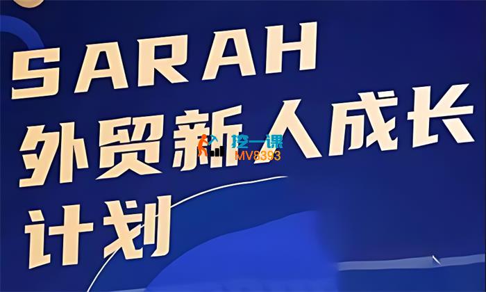 Sarah《外贸新人成长计划》