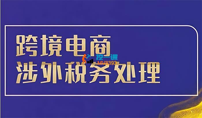 多米《跨境税务宝典教程》_封面图.jpg