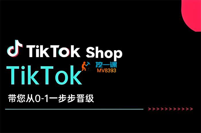 炳森跨境《TikTok Shop带您从0-1一步步晋级》