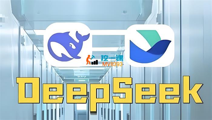 桂圆君《Deepseek赋能金融营销》