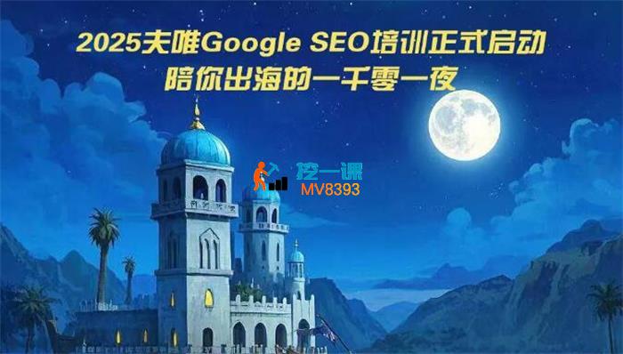 夫唯《Google独立站SEO系统教程》