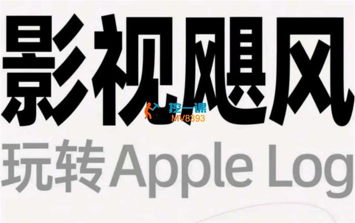 影视飓风《玩转Apple Log》
