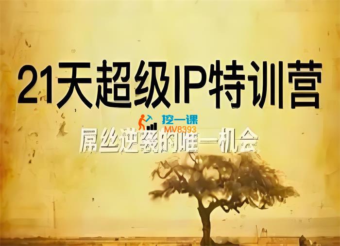 牛老师《21天超级IP特训营》