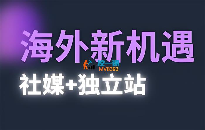 棕榈《2025出海新机遇社媒+独立站》