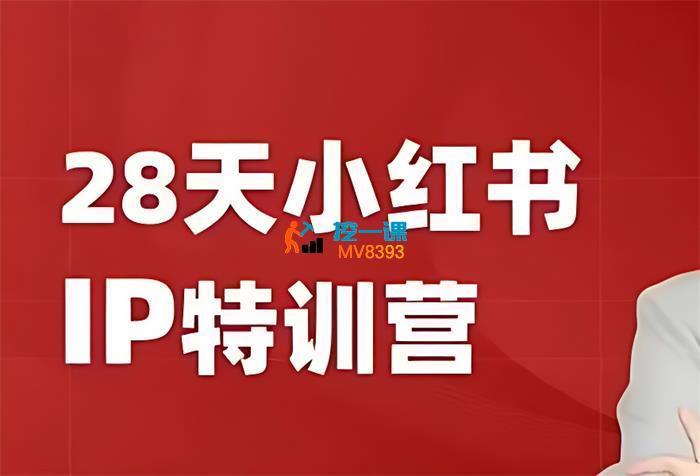 夏九九《28天小红书IP特训营》