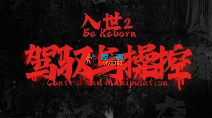 甄琦学长《入世2驾驭与控制》