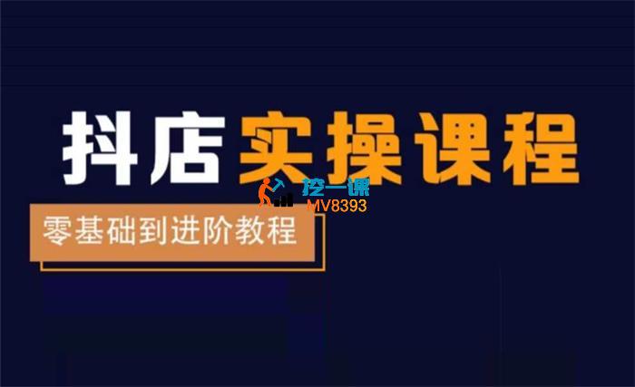 老高《抖店电商陪跑训练营》