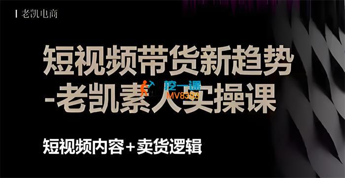 老凯电商《短视频带货没有秘密》