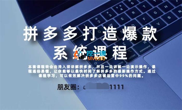 大海电商说《拼多多高阶打造爆款全套课程》