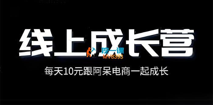 阿呆《电商线上成长营2025年新》_封面图.jpg