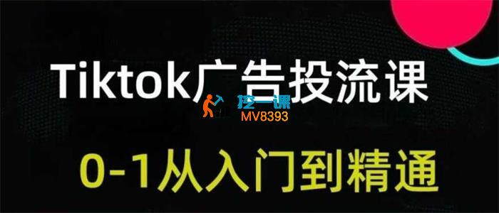 跨境无疆《Tiktok广告投放从入门到精通》_封面图.jpg