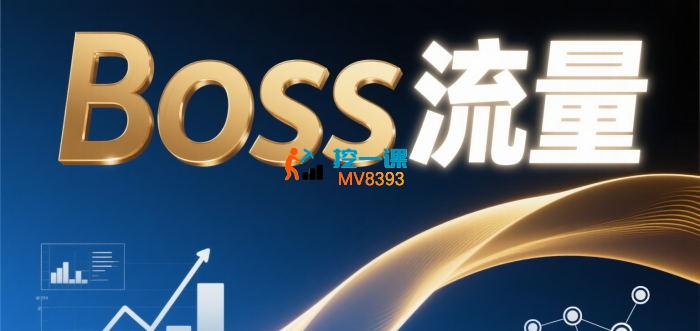 十年《Boss引流》